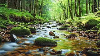 Восстановление Нервной Системы 🌿 Нежная Музыка, Успокаивает Нервную Систему И Радует Душу #40