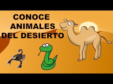 ¿Qué es un desierto? Conoce el desierto, plantas, animales...vídeos educativos para niñ@s.