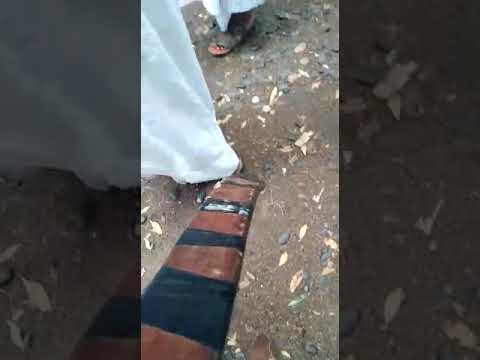 مبارك النور حفله عمر عبد الحفيظ احمد التاي ال حدره 