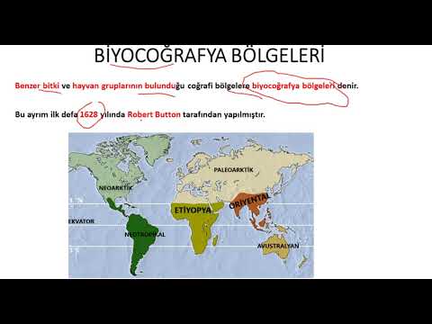 Video: Biyocoğrafyanın iki modeli nedir?