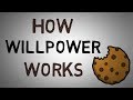 Understanding Willpower and Self-Control