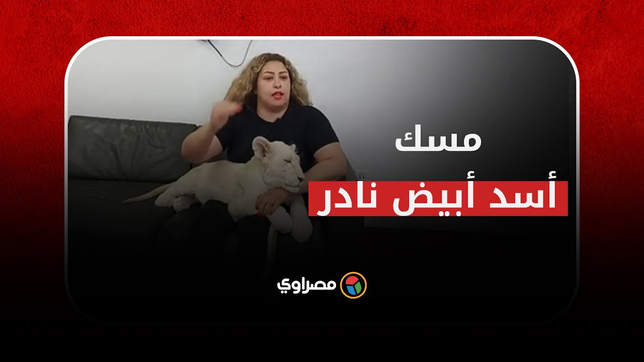مدربة الأسود لوبة الحلو مع أسد أبيض نادر في 