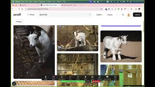 Recording Screencasts with Zoom