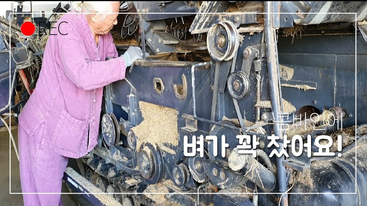 동양5조콤바인 C805GC 1번나선부러짐.흔들채파손