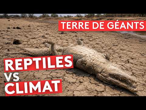 Land of Giants – Reptiles: Dependent on Climate – Nature Documentary, Wildlife