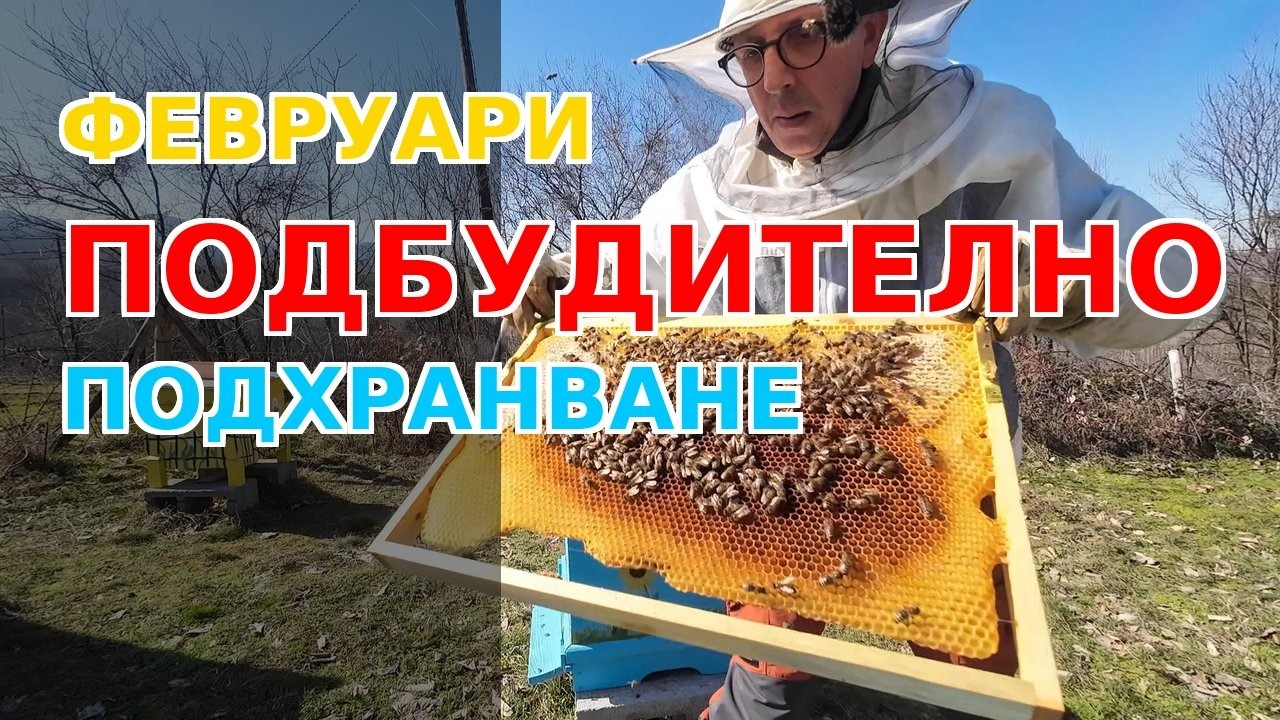 СТАРТ НА ПОДБУДИТЕЛНОТО ПОДХРАНВАНЕ