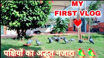 MY FIRST VLOG ! #brids #myfirstvlog #myfirstblog #my_first_vlog #myfirstvlogviral #vlog #vlogger ❤️