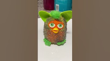 Growing the CHIA Furby