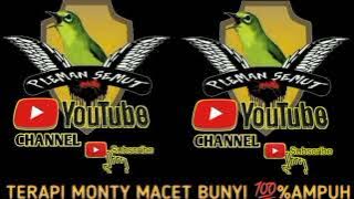TERAPI MONTY MACET BUNYI 💯% AMPUH #pcmiindonesia #monty #kicaumania #shortvideo #shorts #subscribe