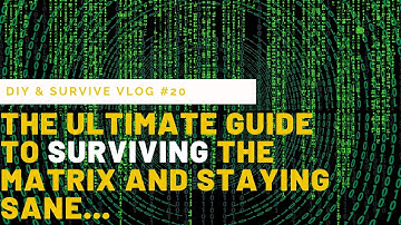 The Ultimate Guide to Surviving the Matrix and Staying Sane