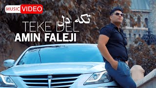 Amin Faleji - Take Del |  MUSIC VIDEO امین فالجی - تک دل