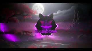 DJ Where Have You Been X Melody Saleho ( DJ Lloyd Drop Remix )