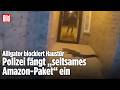Mann gefangen im Haus: Plötzlich lauert ein Alligator vor der Tür