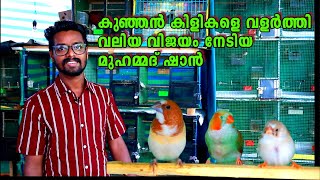 ചിറകടിച്ചുയര്‍ന്ന മുഹമ്മദ് ഷാനിന്റെ പക്ഷിവളര്‍ത്തല്‍ | Jumbo Finches bird farm Alappuzha