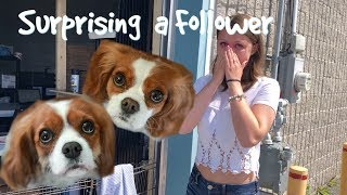 SURPRISING A FOLLOWER FOR HER BIRTHDAY