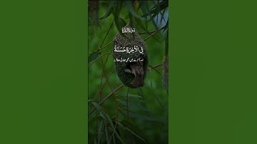 القارئ عبد الرحمن مسعد. #اكسبلور #المصحف #حالات_واتس #quranchapter #egzonibrahimi #راحة_نفسية Quran