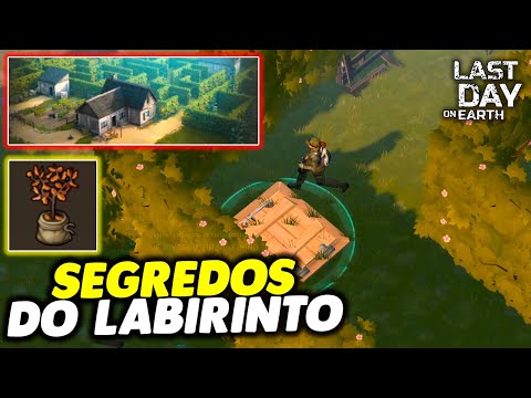 Vídeo: Segredos Dos Labirintos