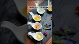 Molecular Gastronomy Techniques