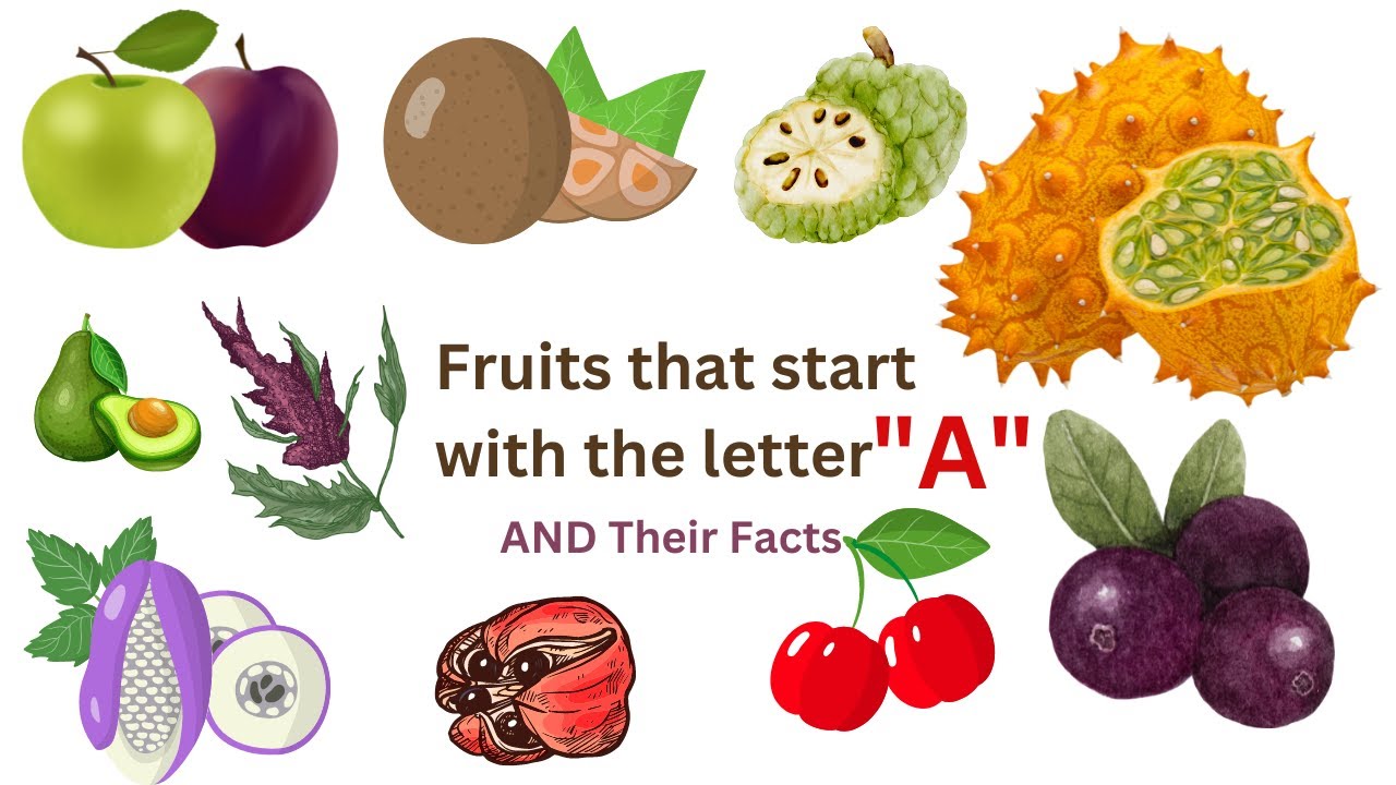 Fruits That Start With The Letter A With Some Interesting Facts In Fruits That Start With The Letter A With Some Interesting Facts In