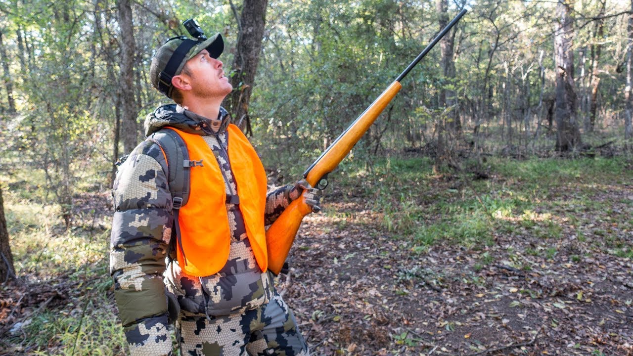 Hunting New Public Land (Squirrel & Rabbit Hunt)