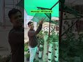 50°C की गर्मी में भी ये पौधे दे रहे हैं ताज़ी सब्जियां  यही है असली ताकत!