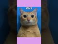 Evolution of super cute famous meme cats (2026) #shorts