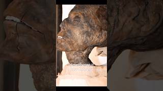 Bringing Amenhotep II and Amenhotep III to life with AI