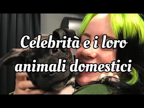 Video: Celebrità Che Hanno Adottato Animali Del Rifugio E Loro Animali Domestici