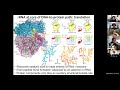 6.047/6.878 Lecture 7 - RNA folding, RNA world, RNA structures (Fall 2020)