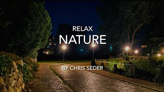 Relax Nature Melodie Night Chill