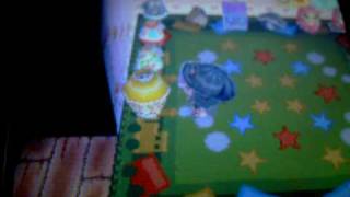 My house on animal crossing wild world