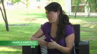 Panoramas del Maule Capítulo 4 (Parte 1) | @CampusTVHD