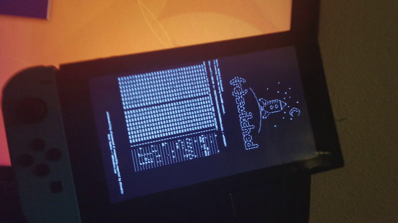 Nintendo Switch actually using Fusee Gelee YouTube