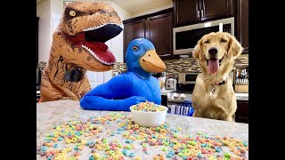Fun play time with a surprise from puppy With rubber ducky and T-Rex
