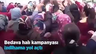 Türkiye Iq Ortalama Zeka1