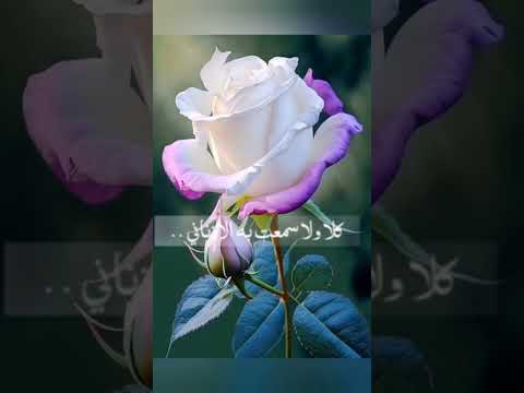 هياجنة طبات وطاب نعيمها أناشيد دينية قصيرة وحزينة