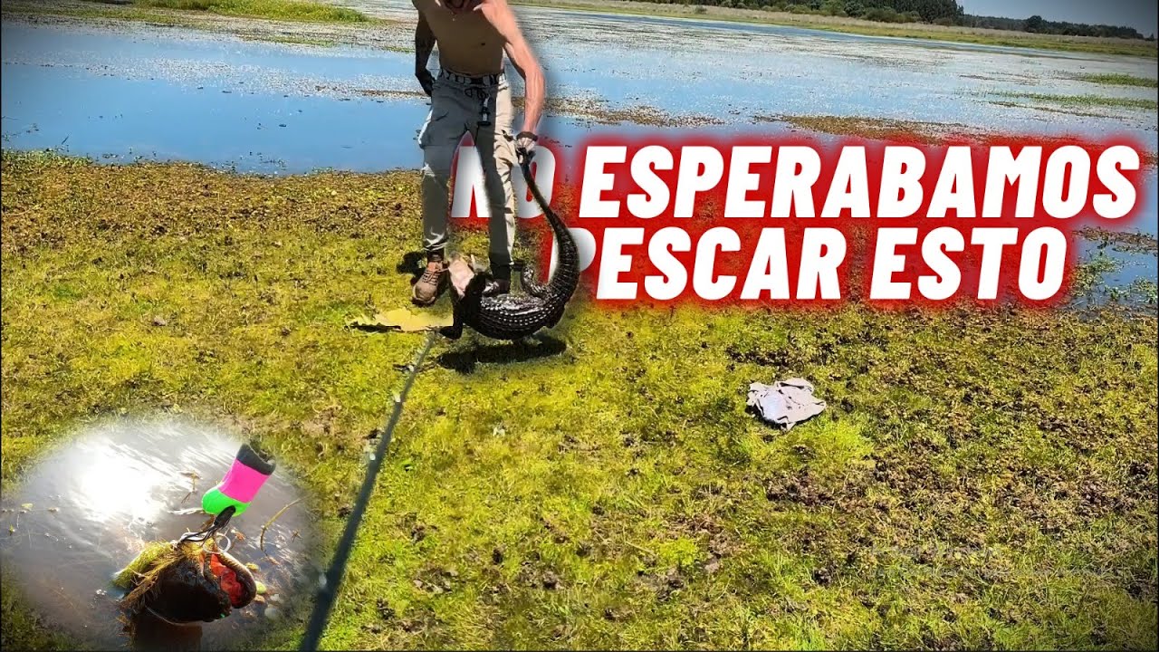 NO PODIAMOS CREER LO QUE PESCAMOS  @arroyo65  🐊