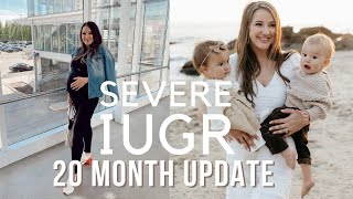 SEVERE IUGR UPDATE | pregnancy through toddler | heather fern