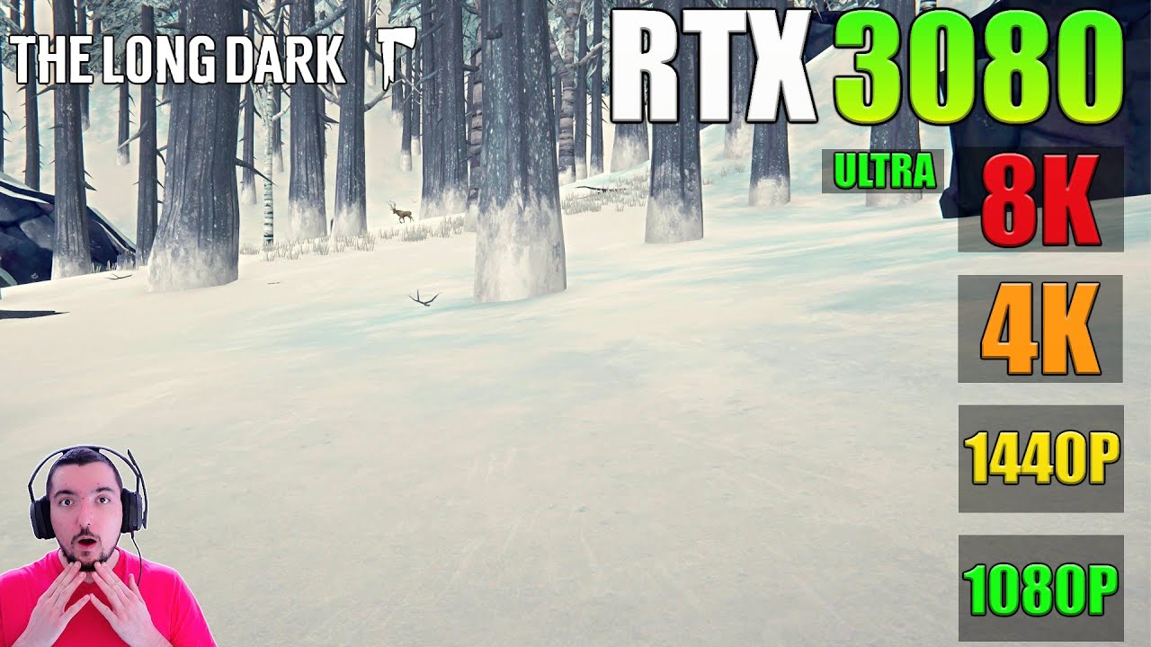 RTX 3080 THE LONG DARK en 1080p, 1440p, 4K, 8K ULTRA réglages YouTube