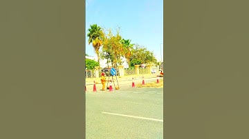 usano swab #shots #shorts #music #dance