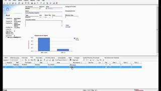 Full Panso develops dynamic charts in Aras News