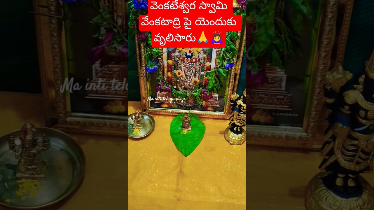 వెంకటగిరికి శ్రీహరి అనుగ్రహం 🙏🙇♀️#telugu #trending#ytshorts #pooja #sanivaram #venkateswara#govinda