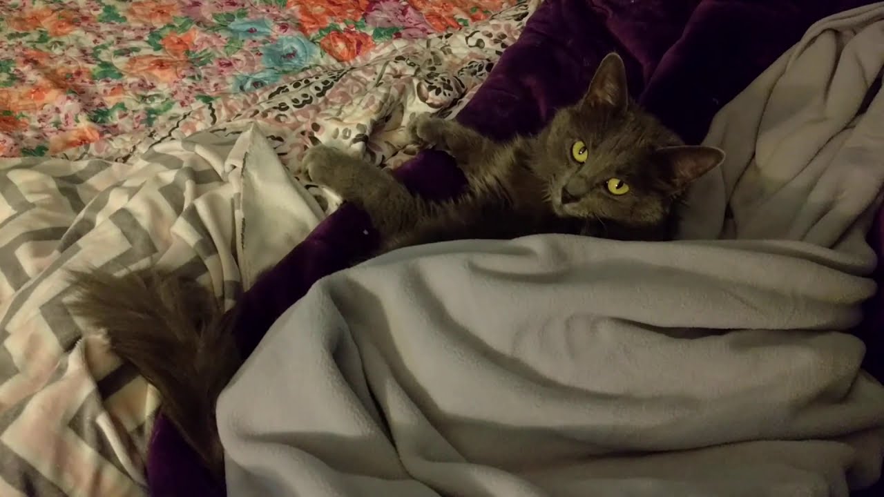 It's Okay. I'm Not Cold Anymore YouTube