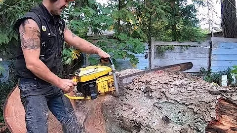 MUST SEE! McCULLOCH SP 125 LOVERS, LOG BUCKING FRE...