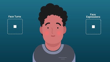 Head Rig using Less Controller | Joystick n Sliders | After Effects | Character Animation