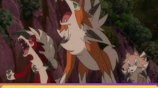 Tapulele-Tapulele Give Ash Rockruff Dusk Form ..?Journey Of Ash Dusk Lycanroc Evolution