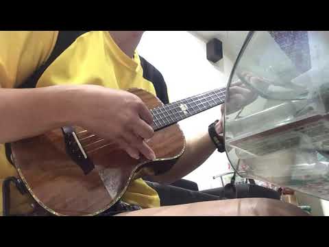不是因為天氣晴朗才愛你 cover by Andy