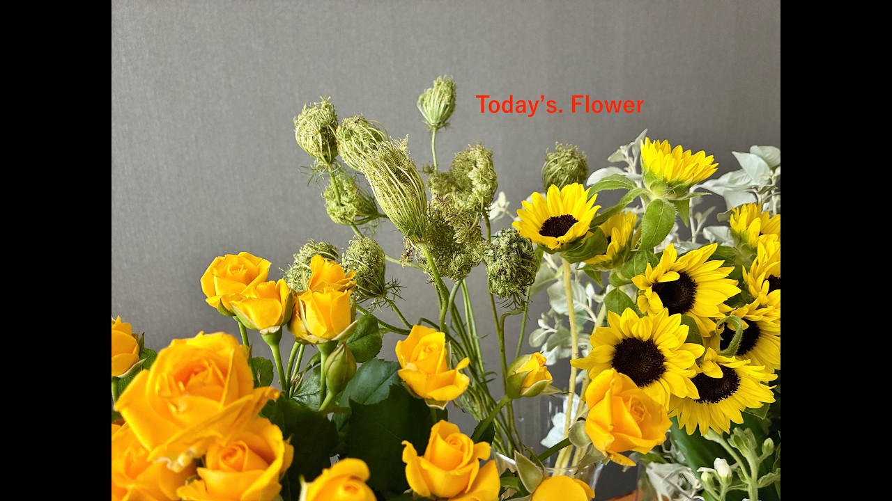 Today's Flower 0710 :::::夏が来た！ひまわりなどイエローのお花が