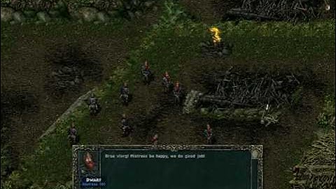 Divine Divinity - Desecration of the Elves Burial Grounds