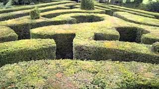 Saffron Walden Victorian Hedge Maze